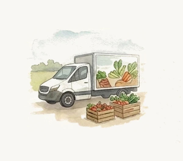 Watercolour illustration of grocery delivery