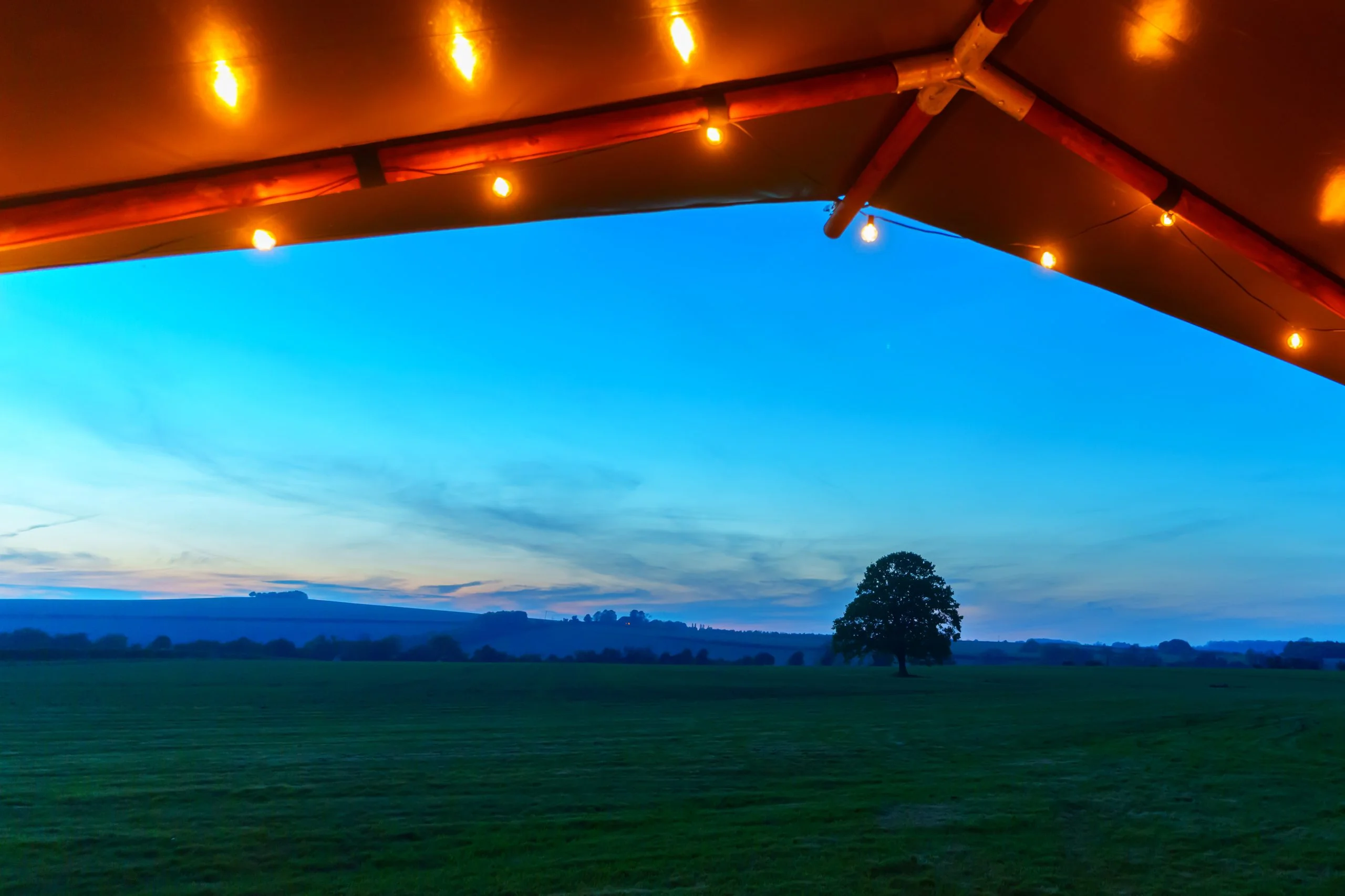 View of old oak at sunset from the safari tent veranda with fairy lights at Chalke Valley