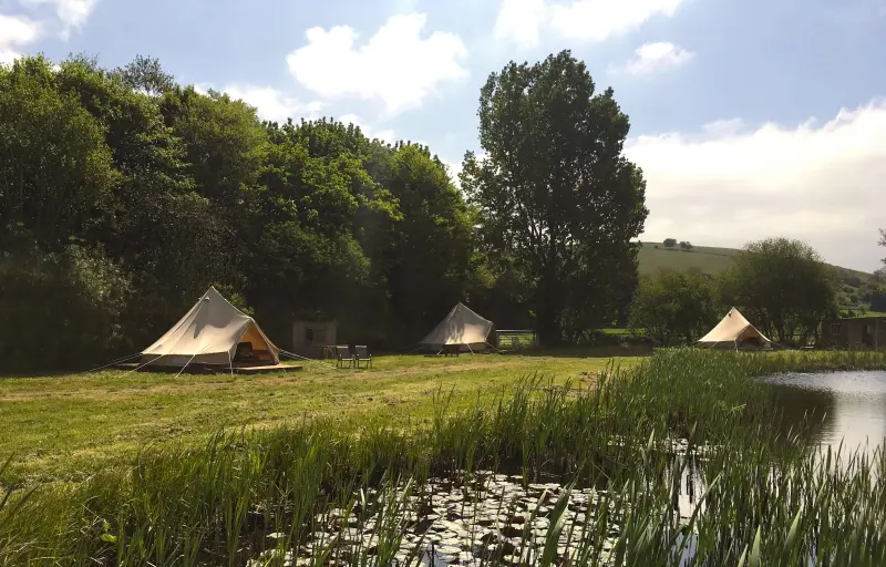 Three bell tents with freshly cut grass and lily pads on the pond