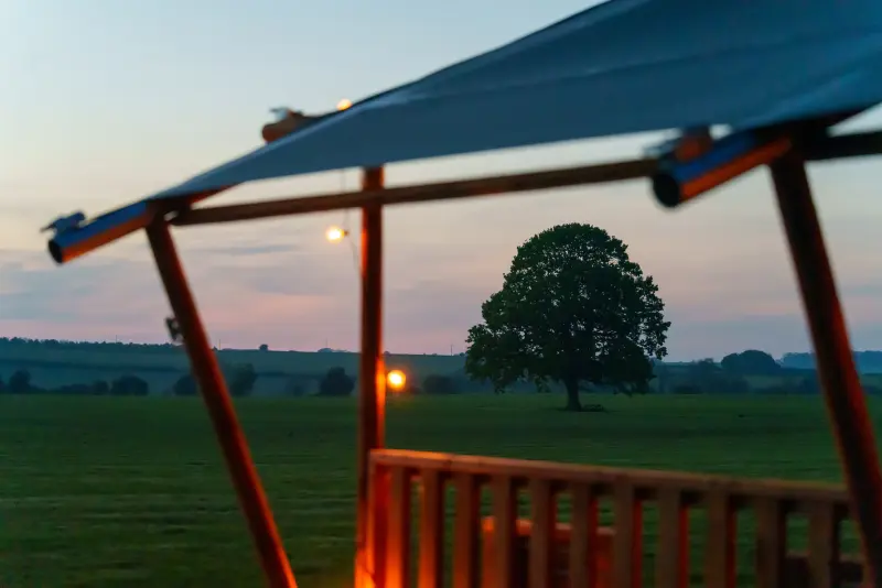 View of oak tree through the safari tent veranda at Chalke Valley