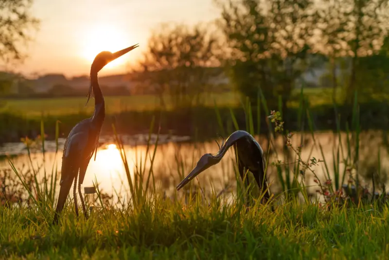Metal heron birds next to the pond with sunset at Chalke Valley Camping